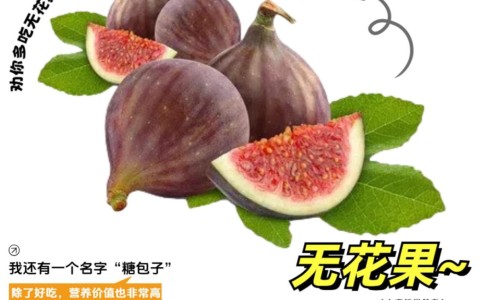 勾藤的作用及禁忌-勾藤的用法用量及主治-勾藤药材图片,中国勾藤药材图片网站