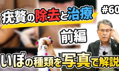 勾藤功效与作用的功效与作用-勾藤的用法用量及主治-勾藤药材图片,中国勾藤药材图片网站